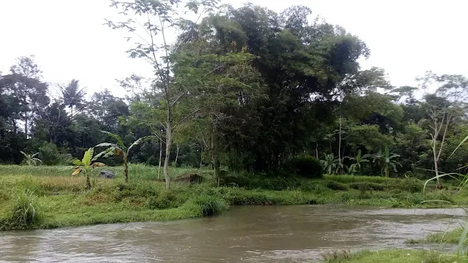 Foto Desa Wisata Tanjung di Gunungkidul dengan suasana pedesaan asri, sawah, dan aktivitas budaya tradisional