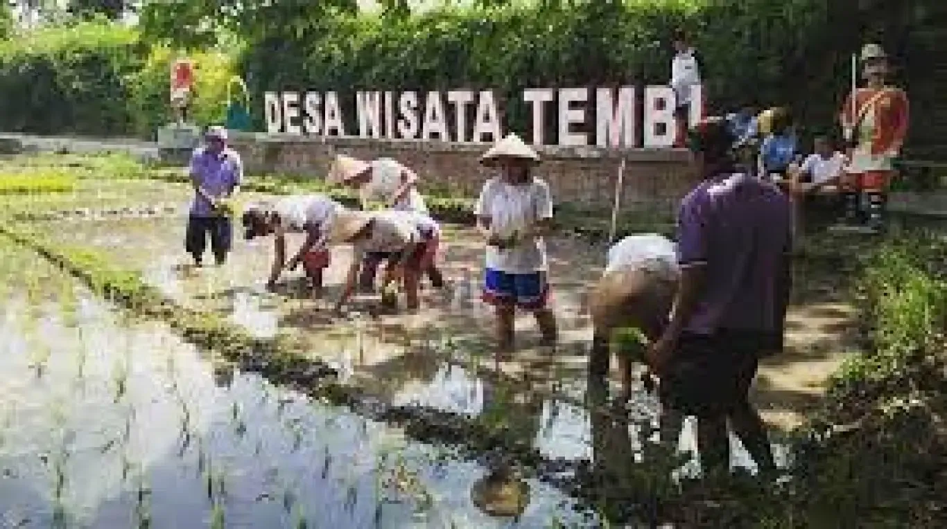 Foto Desa Wisata Tembi Bantul dengan suasana pedesaan asri, sawah, dan aktivitas budaya tradisional