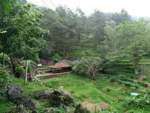 Foto Desa Wisata Bejiharjo di Gunungkidul dengan suasana pedesaan asri, sawah, dan aktivitas budaya tradisional