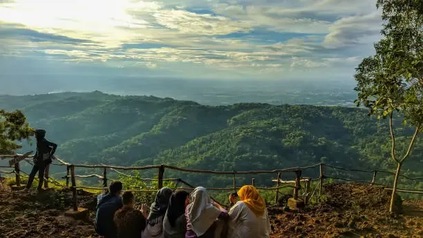 gambar suasana di hutan pinus pengger